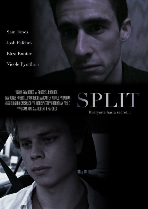 Split (2014) постер