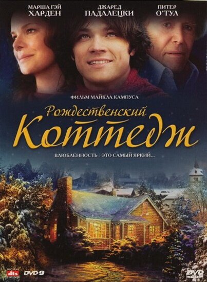 Рождественский коттедж (2008) постер