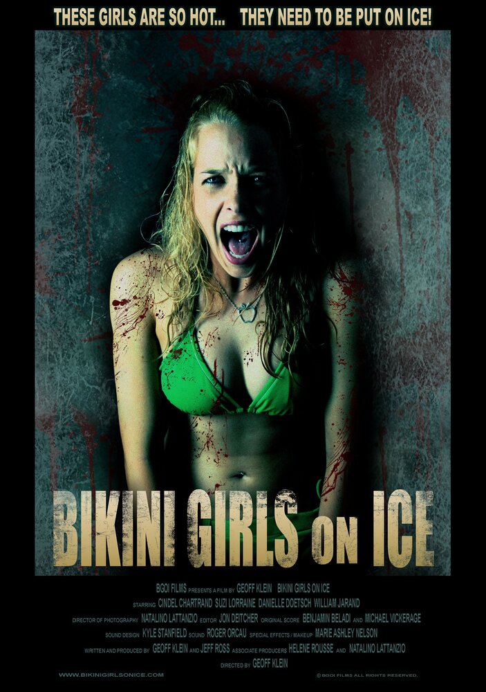 Девочки бикини на льду (2009) постер