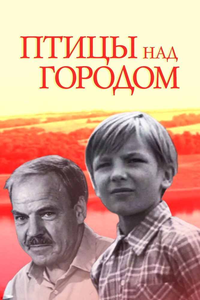 Птицы над городом (1974) постер