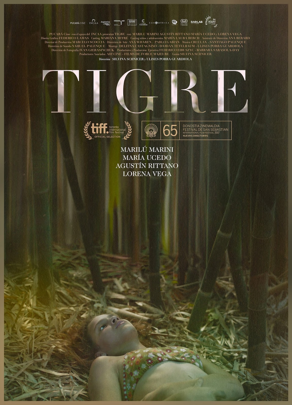 Tigre (2017) постер
