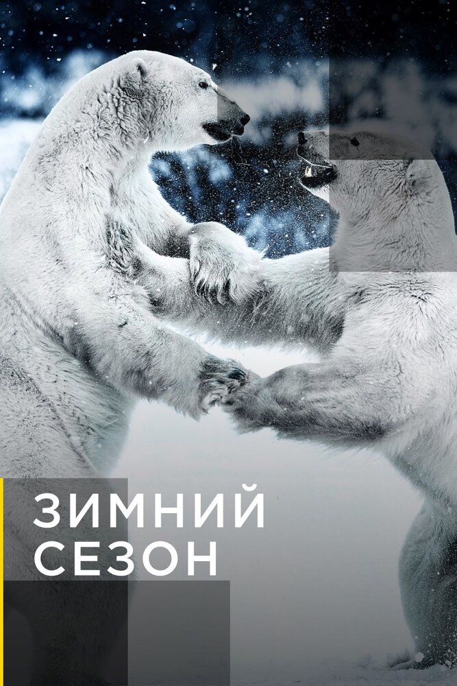 Зимний сезон (2011) постер