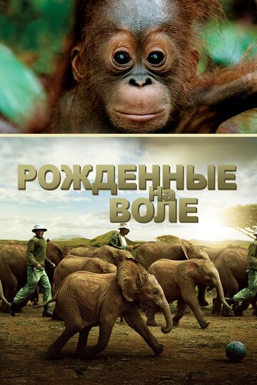 Рожденные на воле (2011)